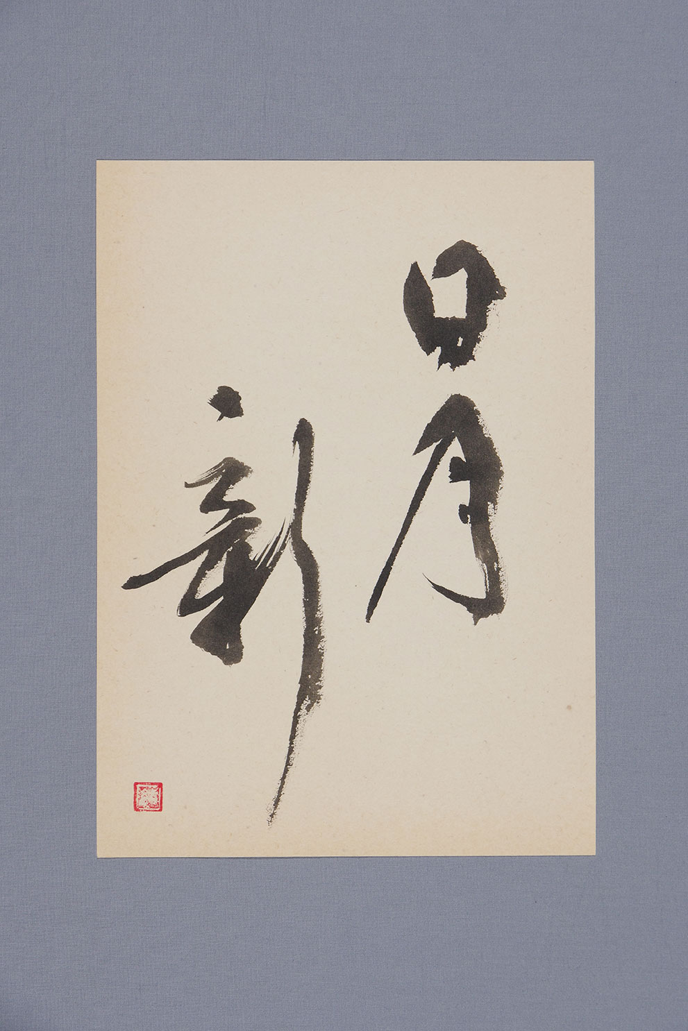 日月新