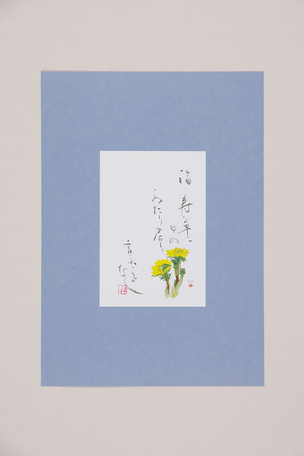 「福寿草に 日のあたり居り 言ふことなし」